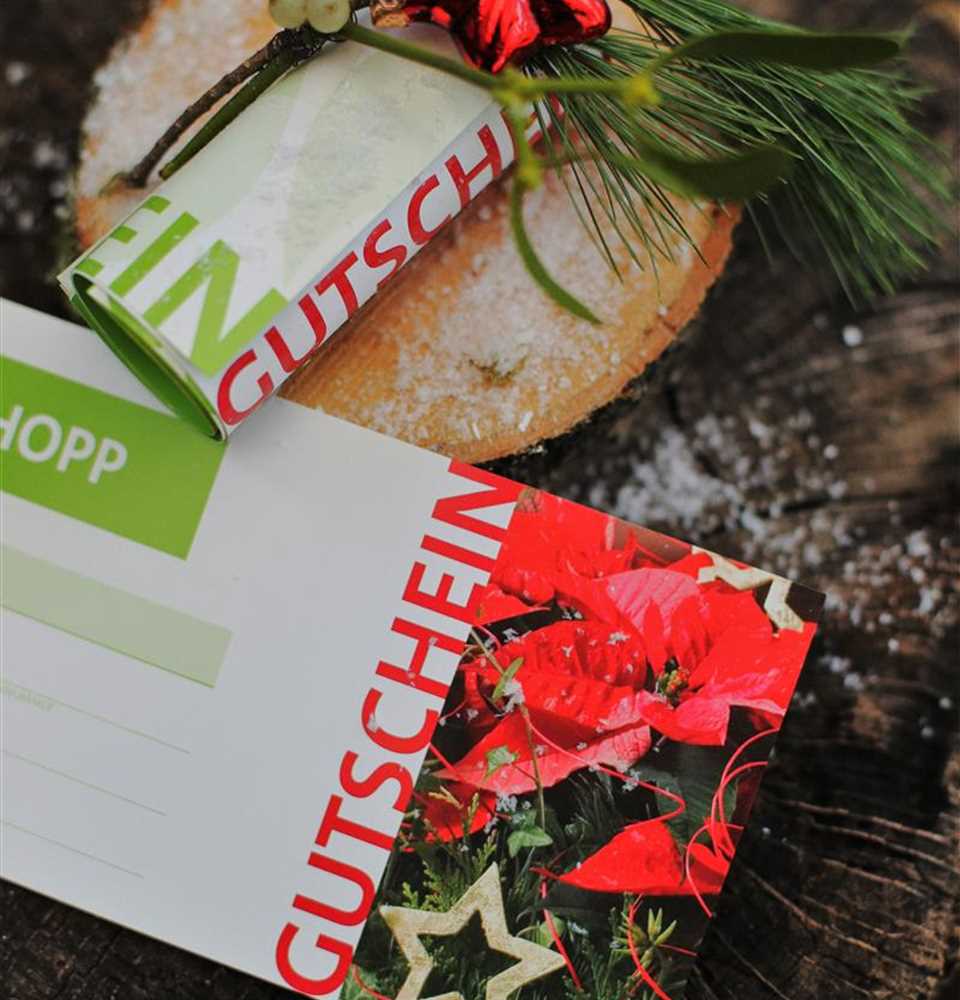Produkte 1A Garten Hopp