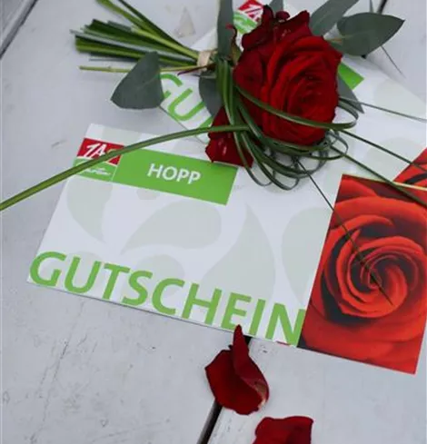 Produkte 1A Garten Hopp