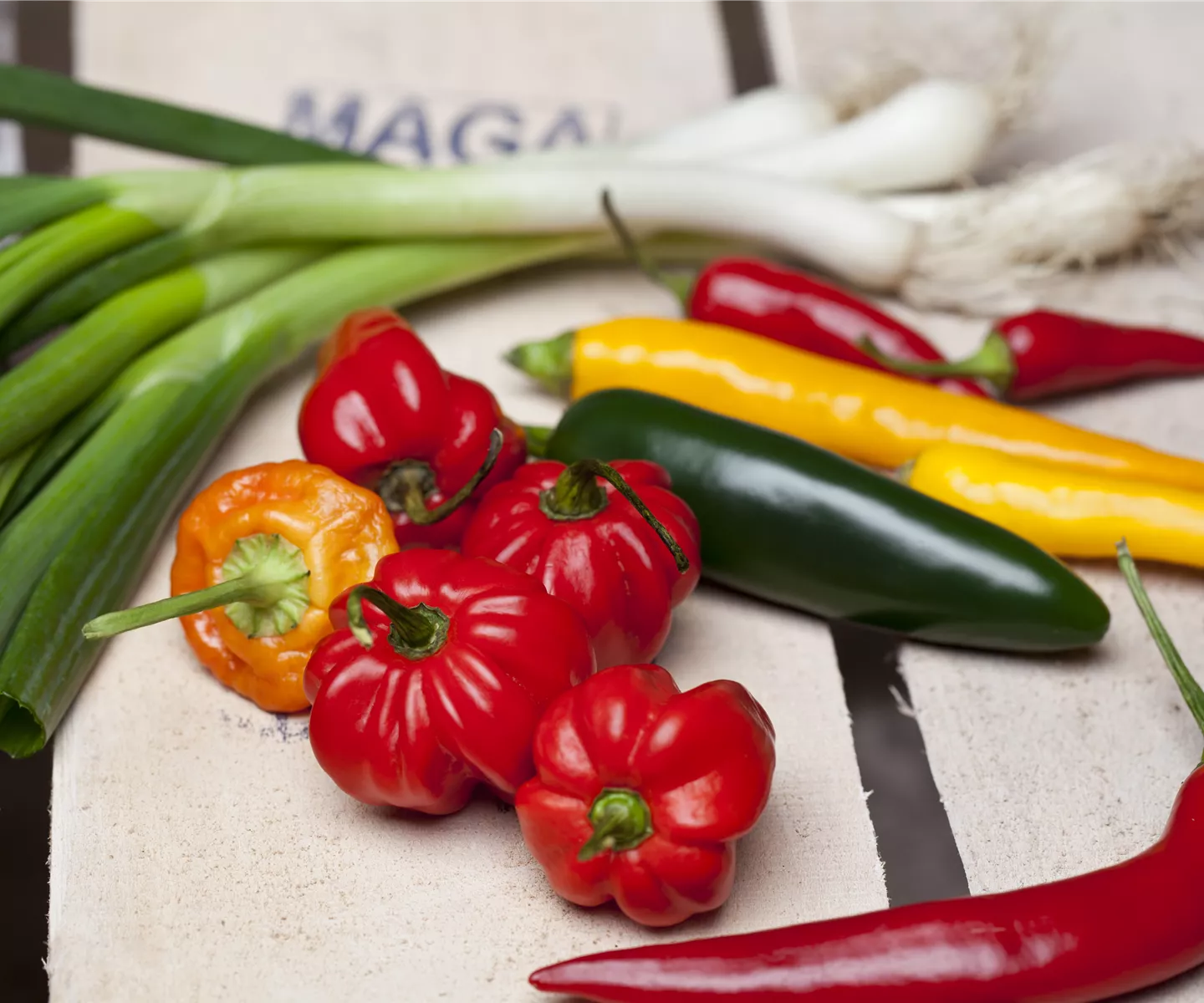 Chili & Paprika: Gemüse des Jahres 2015/16