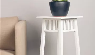 Zum Vergrößern klicken Bildvorschau