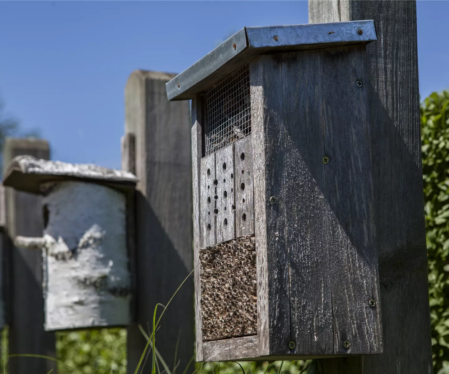 Ein Insektenhotel im Garten: Urlaub und Erholung für Biene und Co.