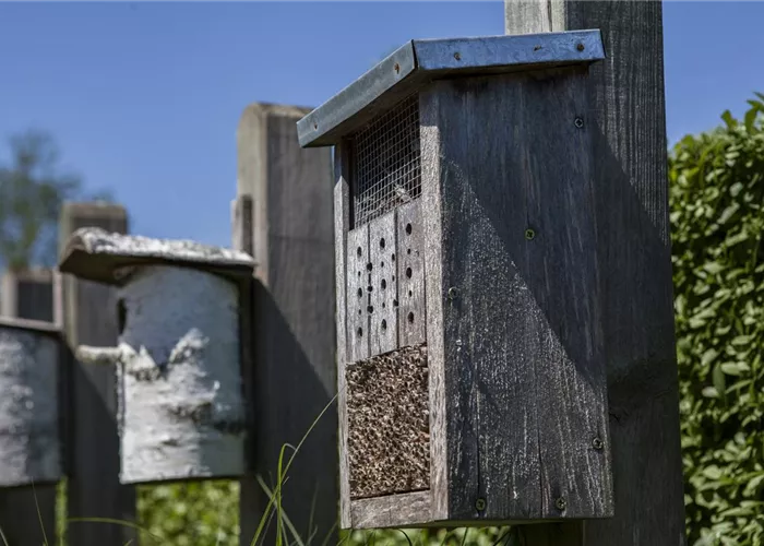 Ein Insektenhotel im Garten: Urlaub und Erholung für Biene und Co. Ein Insektenhotel im Garten: Urlaub und Erholung für Biene und Co.
